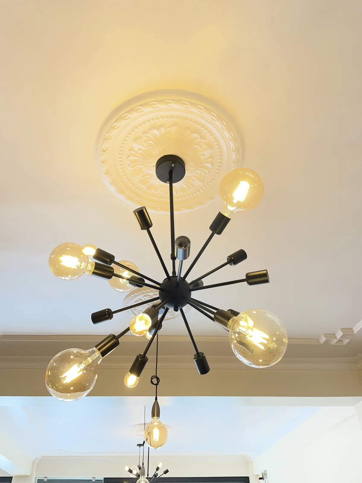 looking up at a black multi-arm ceiling light with glowing globe bulbs, hung from a white ceiling medallion