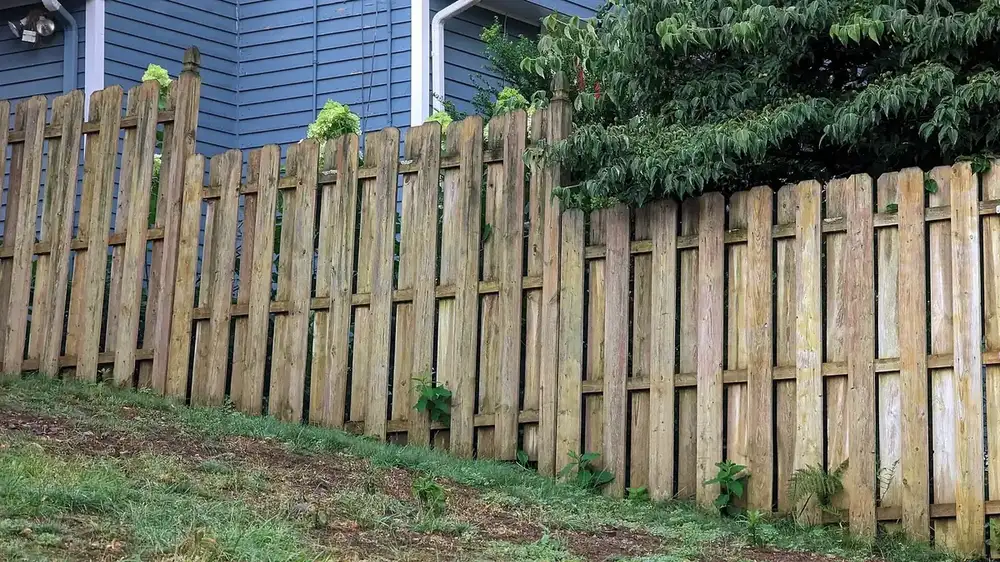 a long weathered wooden board-on-board privacy fence running along a grassy slope beside a blue house